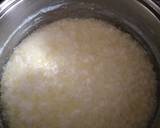 Homemade cream cheese with powdered milk recipe step 2 photo