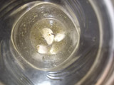 Penca al escabeche (tallo de la acelga)