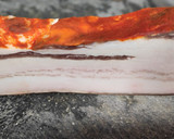 Foto del paso 2 de la receta: Lentejas a mi manera