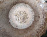 A picture of step 8 of Rajma.