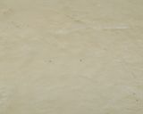 A picture of step 5 of Shakar paray.