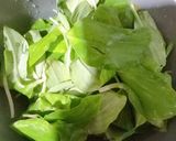 Foto langkah ke 1 dari resep Tumis Daun Kencur.