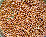 டபுள் லேயர் சாக்கோ வேர்க்கடலை பர்ஃபி (Double layer peanut burfi recipe in tamil) ரெசிபி ஸ்டேப் 1 புகைப்படம்