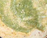 A picture of step 7 of Veg Meyo Kathi Roll.