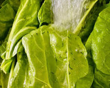 Foto del paso 1 de la receta: BOCADILLOS DE 🥬ACELGA🥬