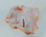 Foto langkah ke 1 dari resep Simple Japanese Chicken Steak Favorit Anak.
