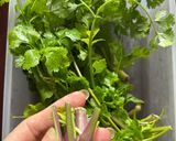 Foto langkah ke 4 dari resep ❤️ Tips TERBAIK Menyimpan Cilantro di kulkas.