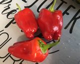 Une image de l'étape 1 de Escalopes de dinde marinées et poivrons bicolores.