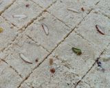 A picture of step 4 of Sooji ki burfi.