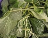Foto langkah ke 1 dari resep Sayur bayam simple.