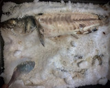 Foto del paso 5 de la receta: Lubina a la sal