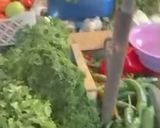 Une image de l'étape 1 de Assaisonnement Vert.