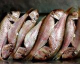 Foto del paso 1 de la receta Salmonetes adobados fritos