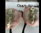 Une image de l'étape 1 de Roulades de veau au jambon tomates et mozzarella.