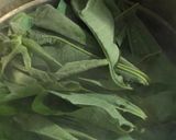 Foto langkah ke 2 dari resep Daun Singkong Stok Kulkas.