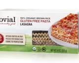 Gluten and Dairy Free Lasagna recipe step 1 photo