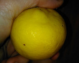 Foto del paso 5 de la receta: Tarta de limón (sin horno)