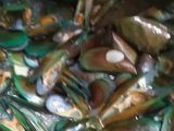Kerang Hijau Rebus