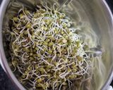 A picture of step 1 of Moong sprout and vegetable chilla.