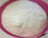 Foto del paso 5 de la receta: 🧉🧉 Cuadraditos de grasa - Libritos 🧉🧉