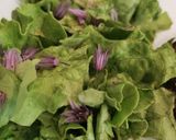 Une image de l'étape 6 de Beurre de fleurs de ciboulette.