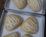 Foto langkah ke 13 dari resep Garlic Cheese Soft Sourdough Bread.
