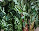 Foto langkah ke 1 dari resep Tumis Daun Pepaya Singkong.