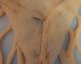 عکس مرحله 14 از دستور پیراشکی فانتزی
