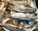 Foto langkah ke 6 dari resep Ikan Pindang ala Pindang Besek Homemade Simple Siap Olah!.