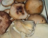 Foto del paso 7 de la receta: Presa ibérica en salsa de curry rojo