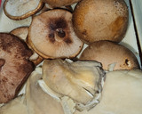 Foto del paso 7 de la receta: Presa ibérica en salsa de curry rojo