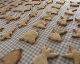 Foto del paso 14 de la receta: Galletas de Navidad y ginger man