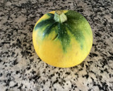 Foto del paso 1 de la receta: Calabacín amarillo con tomates al horno