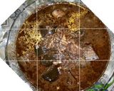 صورة لخطوة 4 من وصفة سماقية ورز وفريكة