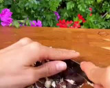 Foto del paso 1 de la receta: Cookies de FILIPINOS