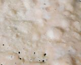 A picture of step 10 of Masoor Dal Dosa.