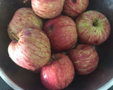 Foto del paso 1 de la receta: Mermelada de manzana en Thermomix 🍎 🍏