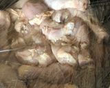 Foto del paso 1 de la receta: Pollo frito - crujiente