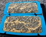 Foto del paso 4 de la receta: Pan sin gluten de lentejas turcas