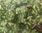 Foto del passaggio 5 della ricetta Confettura di zucchine piccante e menta romana