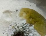 A picture of step 7 of Bedmi puri.