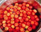 Hình bước làm 1 của món 🌱 Sơ Ri Xóc Muối Ớt