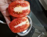 મસાલા પાપડ(masala papad recipe in Gujarati) રેસીપી સ્ટેપ2ફોટો