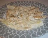 Foto del paso 17 de la receta: Pechuga de pollo con puerro y nata