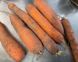 Une image de l'étape 2 de Mijoté de bœuf aux légumes et épices.