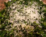 Foto del paso 5 de la receta: Espinaca con salsa blanca gratinada