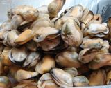 Foto del paso 3 de la receta: Cazuelita de la costa patagónica, sencilla, rica y económica