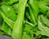 A picture of step 1 of Palak - Amla juice.