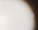 A picture of step 3 of Wheat kanjee with coconut milk.
