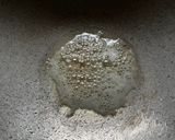 A picture of step 2 of Vrat ki Sabudana Potato Khichadi,morning breakfast or Lunch Satvik recipe.